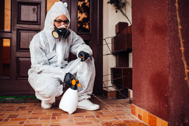 Reliable Termite Control contractor in North Shore, CA by Nex Pest Control